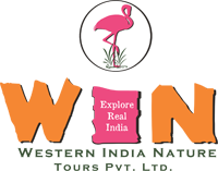 Western India Nature Tours
